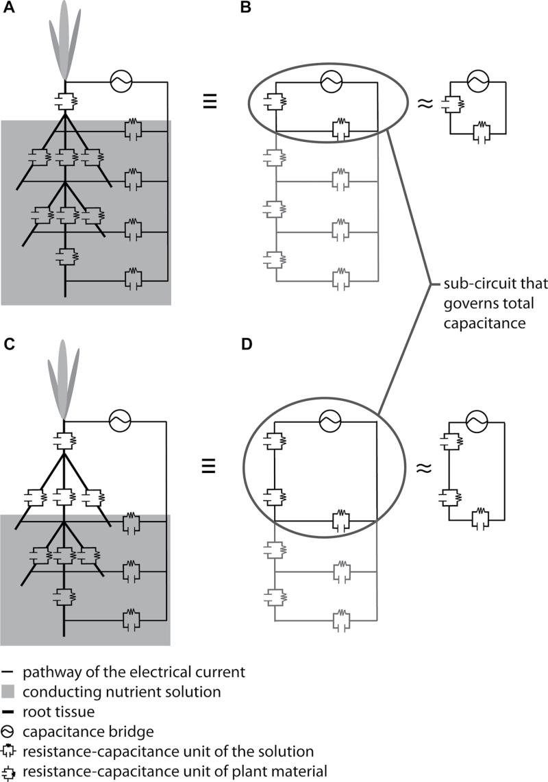 Fig. 10. 