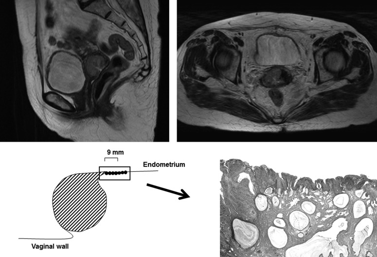 Fig. 5.