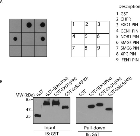 Figure 6.