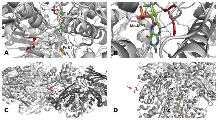 Fig. 4