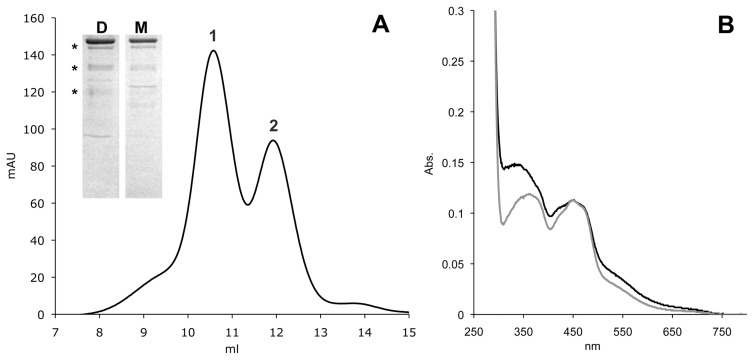 Fig. 1