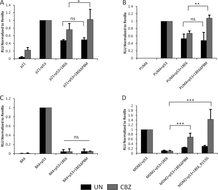 FIG 6