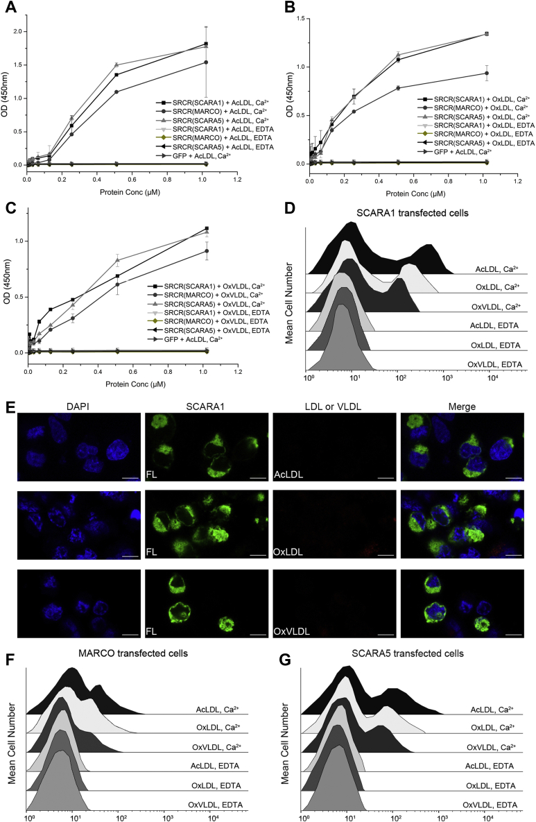 Figure 4