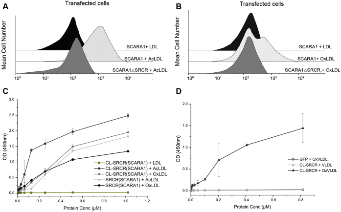 Figure 2