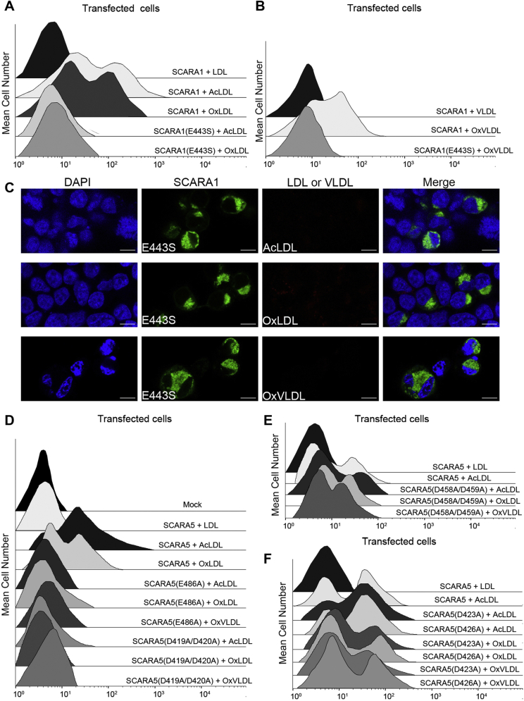 Figure 6