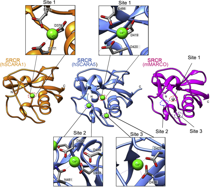 Figure 5