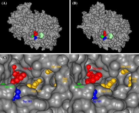 Fig. 6