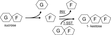 Fig. 1