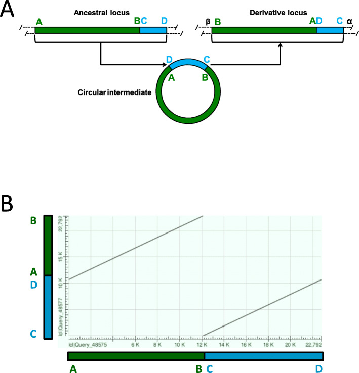 Fig. 1