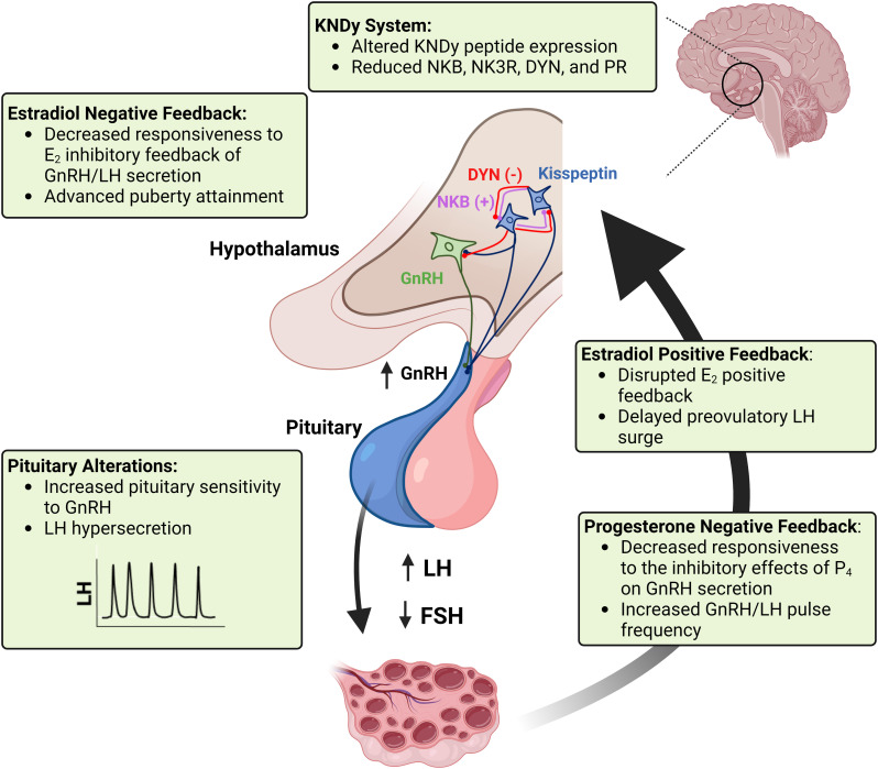 Figure 2