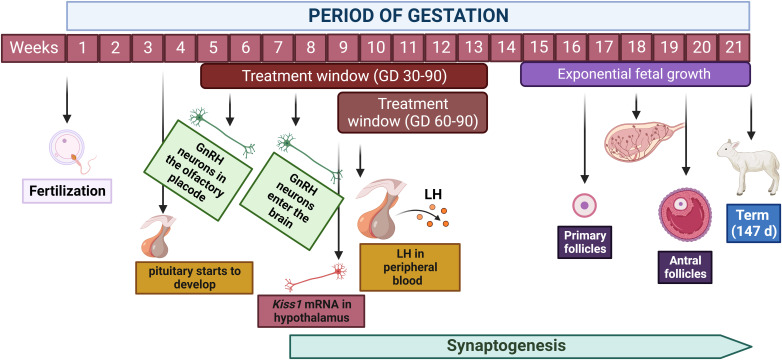 Figure 1