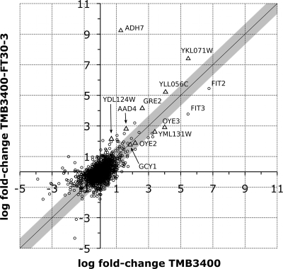 FIG. 5.