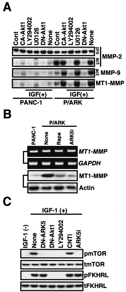 FIG. 4.