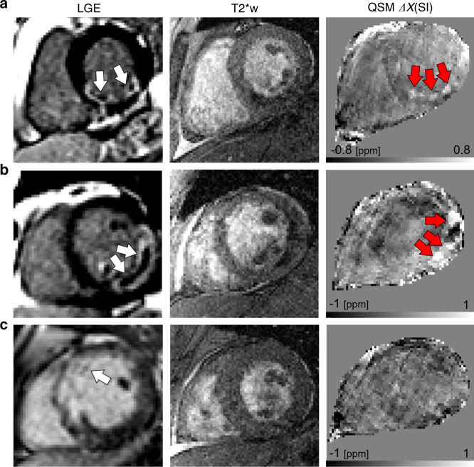 Fig. 6