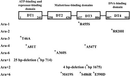 Figure 2.—