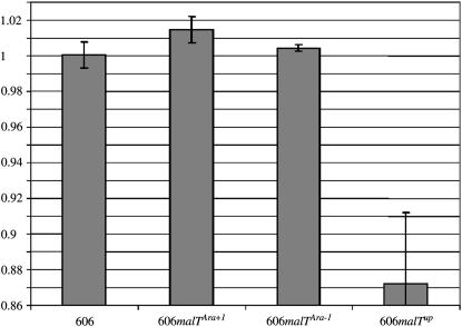 Figure 4.—