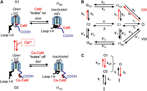 FIGURE 1