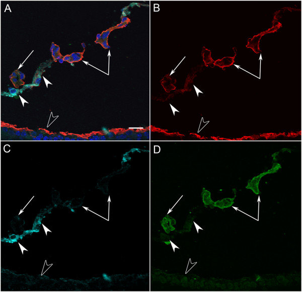 Figure 10