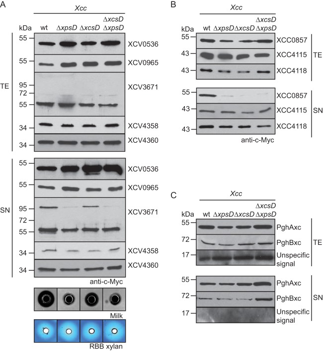 FIG 3