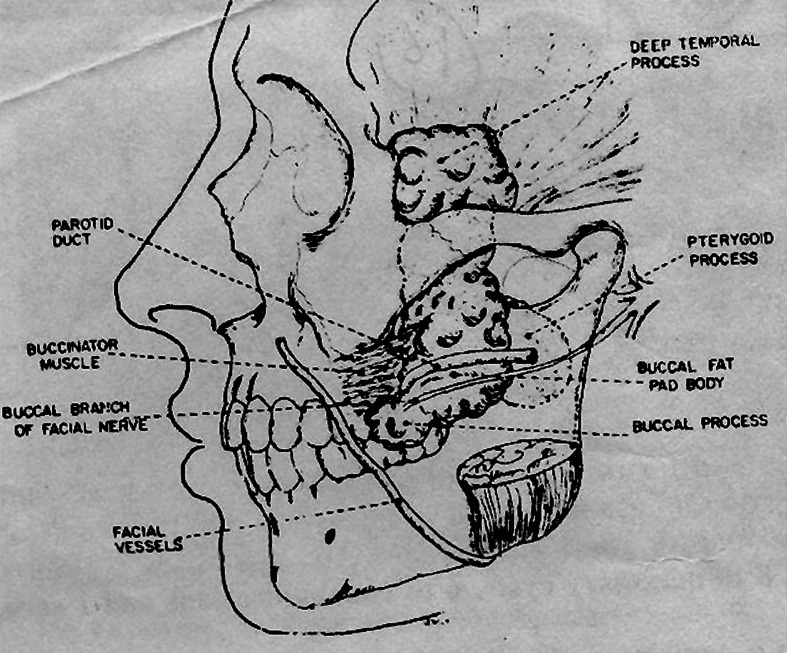 Fig. 7