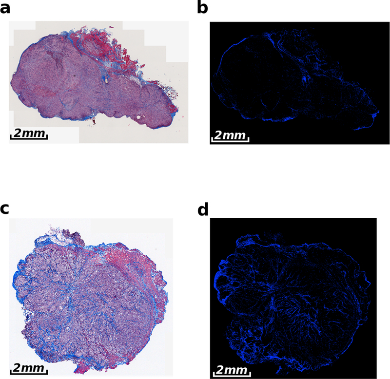 Figure 2: