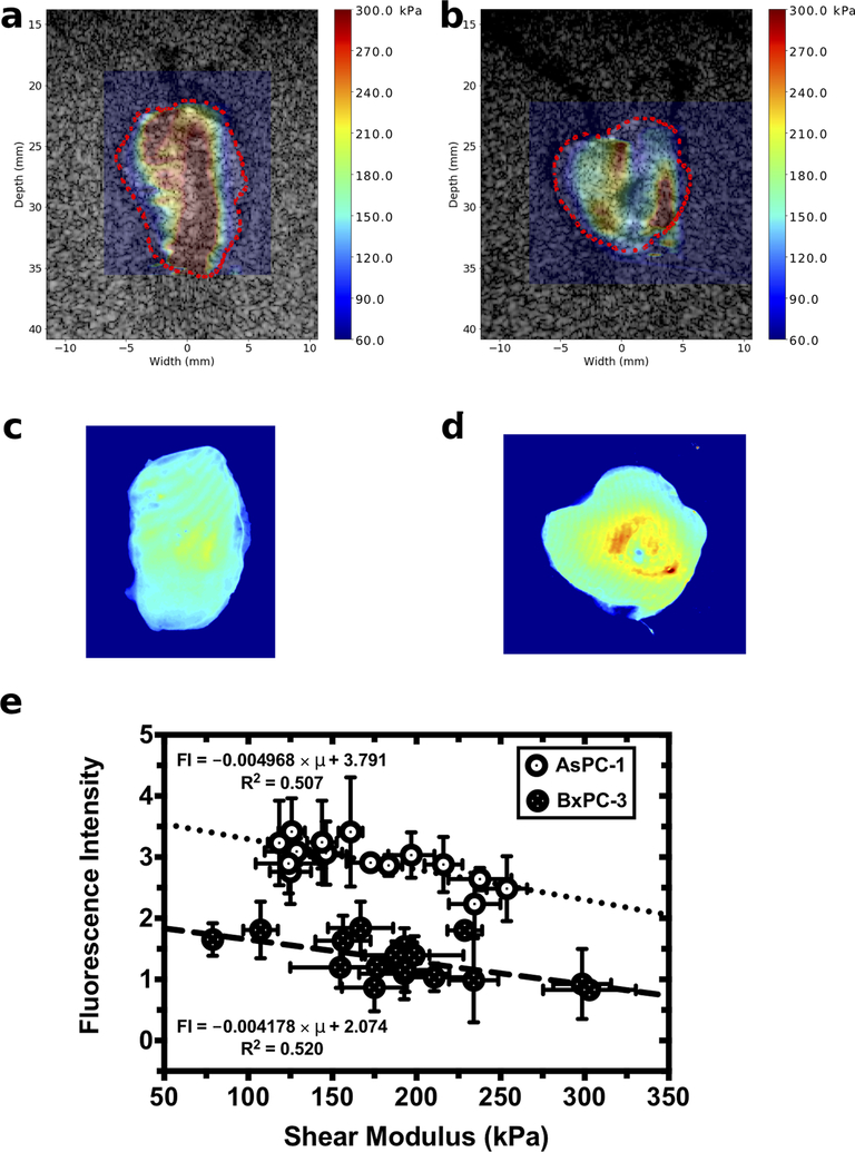 Figure 4: