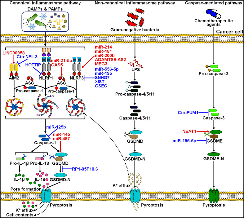 Figure 2