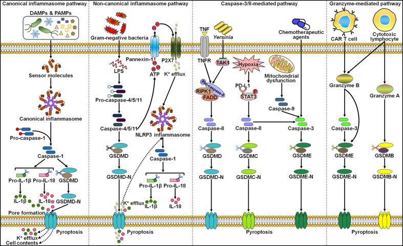 Figure 1