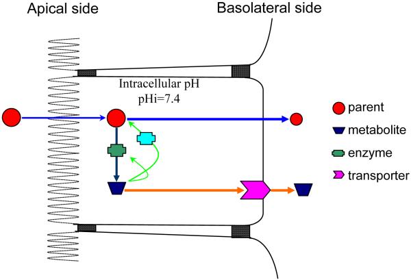 Fig. 4