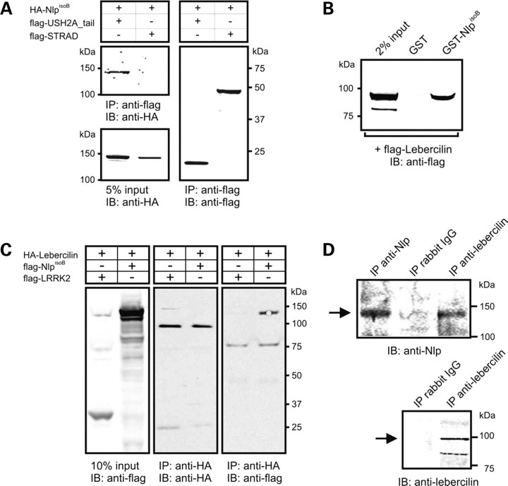 Figure 3.