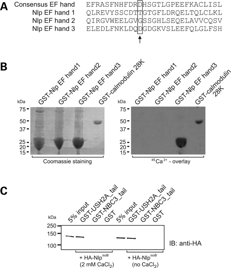 Figure 4.