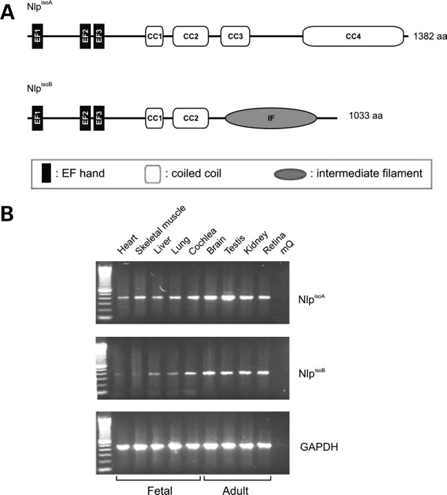 Figure 1.