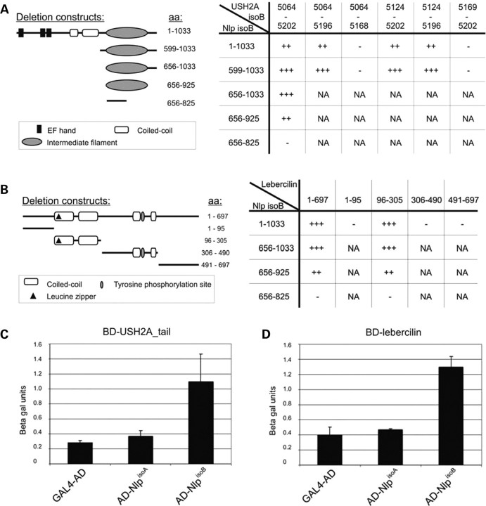 Figure 2.