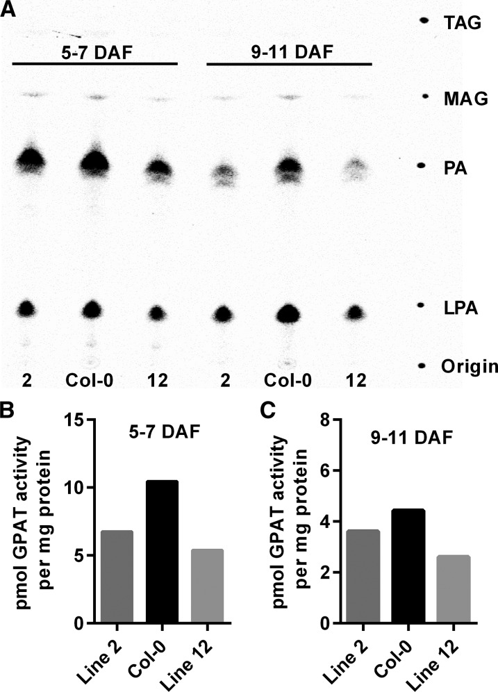 Figure 6.