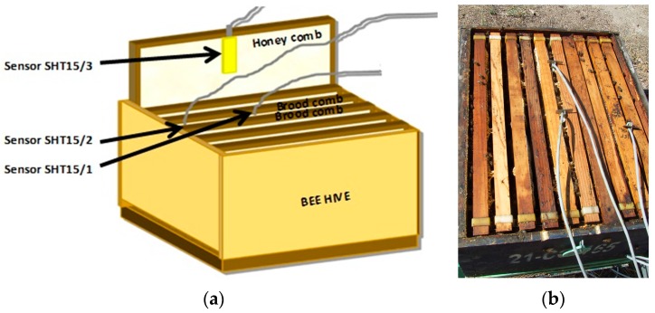 Figure 17