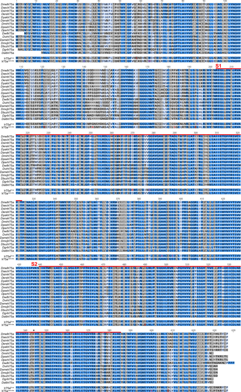 Figure 2—figure supplement 1.