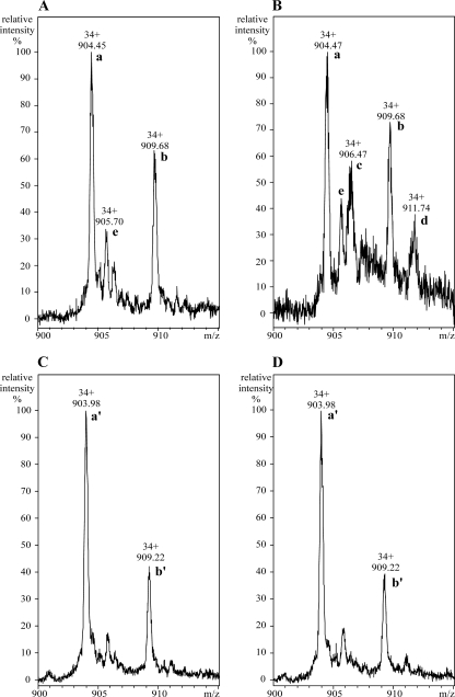 FIG. 5.