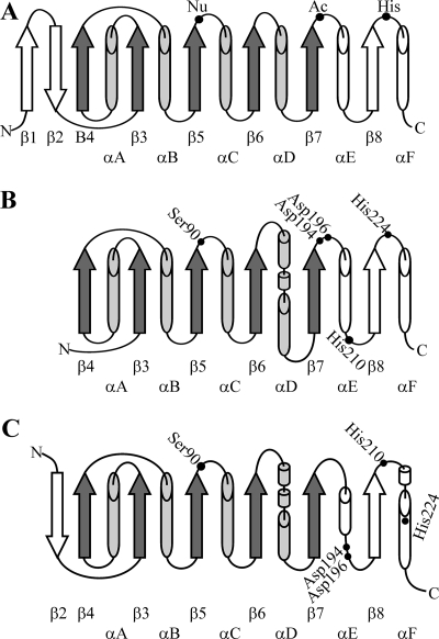 FIG. 2.