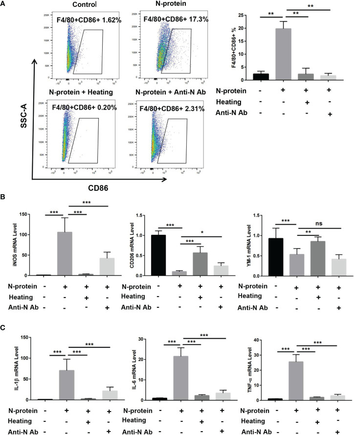 Figure 6