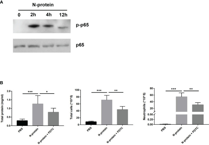 Figure 7