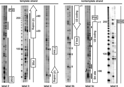 FIG. 4.