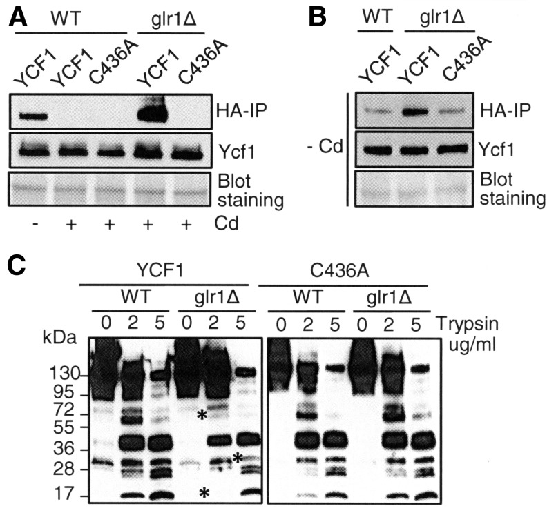 FIG. 8.