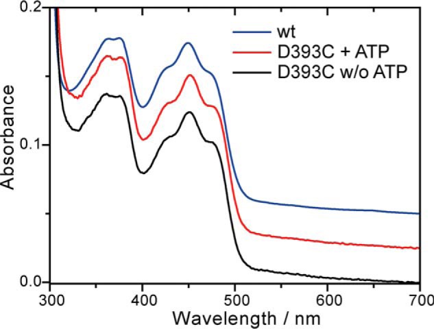 FIGURE 2.