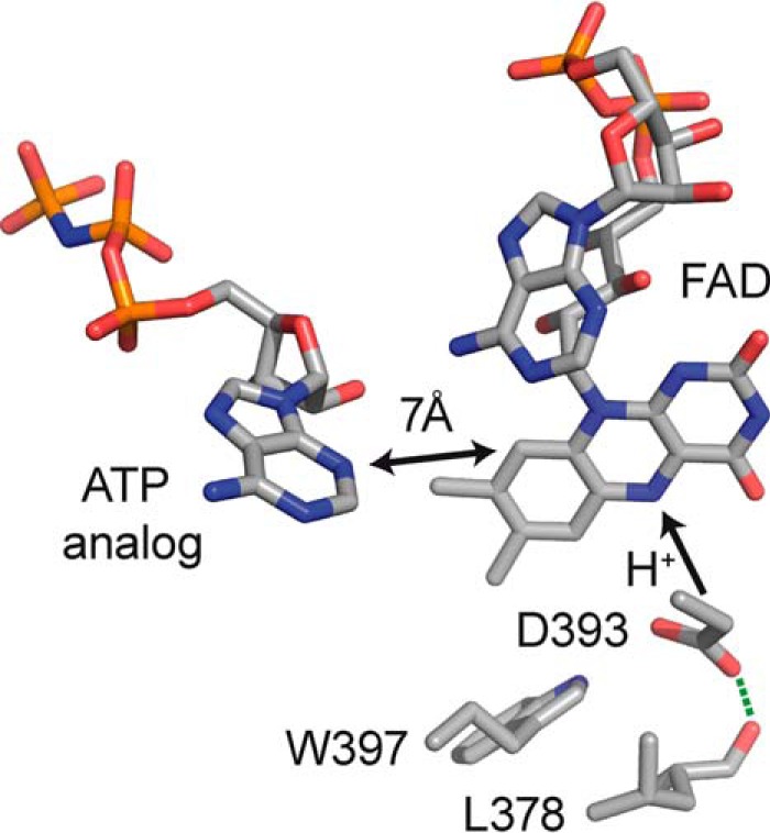 FIGURE 1.