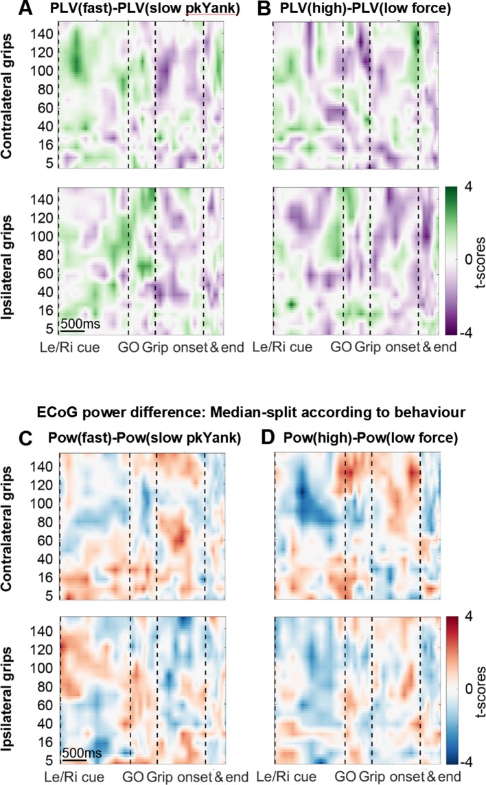 Figure 4—figure supplement 2.