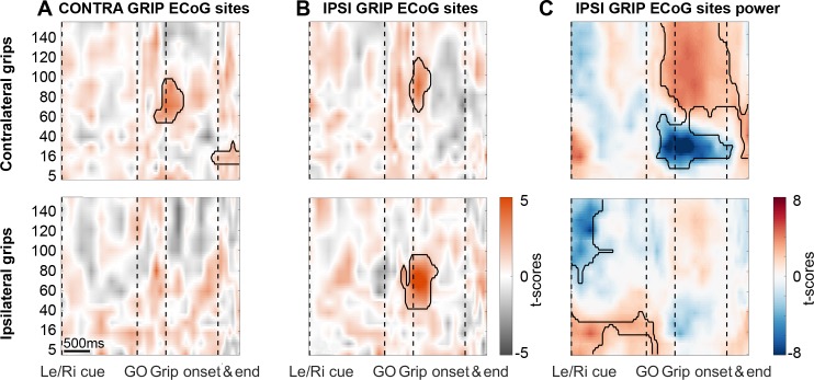 Figure 3—figure supplement 5.