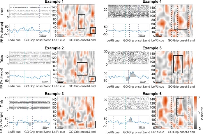 Figure 3—figure supplement 3.