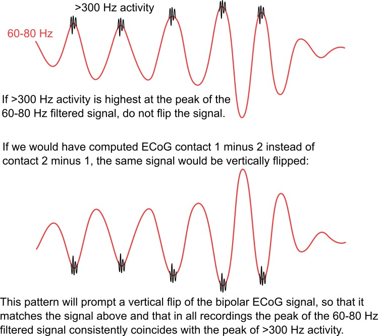 Figure 5—figure supplement 1.