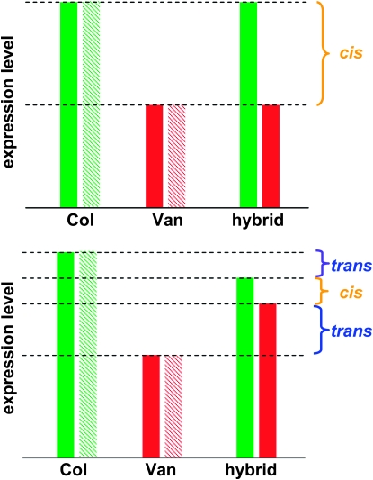 Figure 2.—