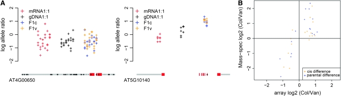 Figure 3.—